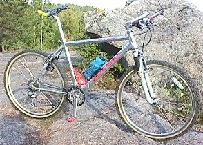 Toinen Marini